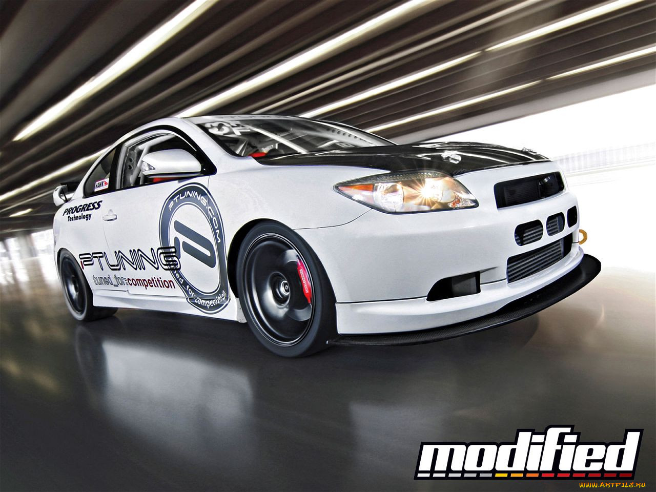 , scion
